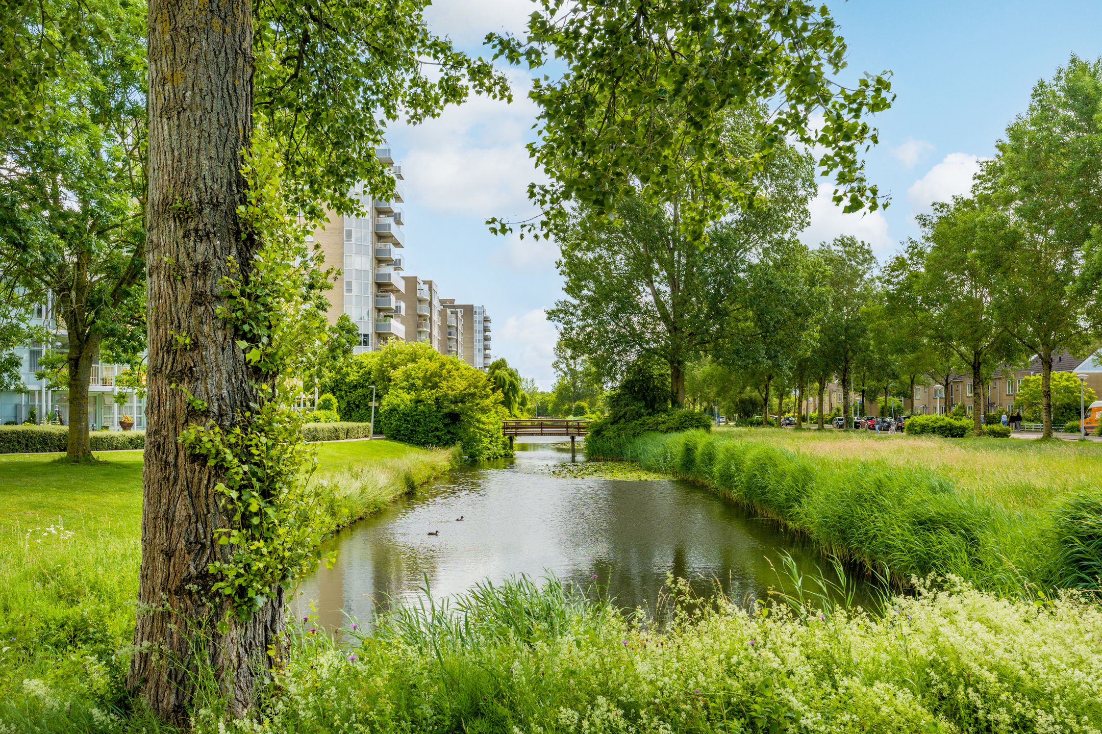 Spacious Energy-Efficient Apartment with Green Views in Amstelveen Westwijk — 30