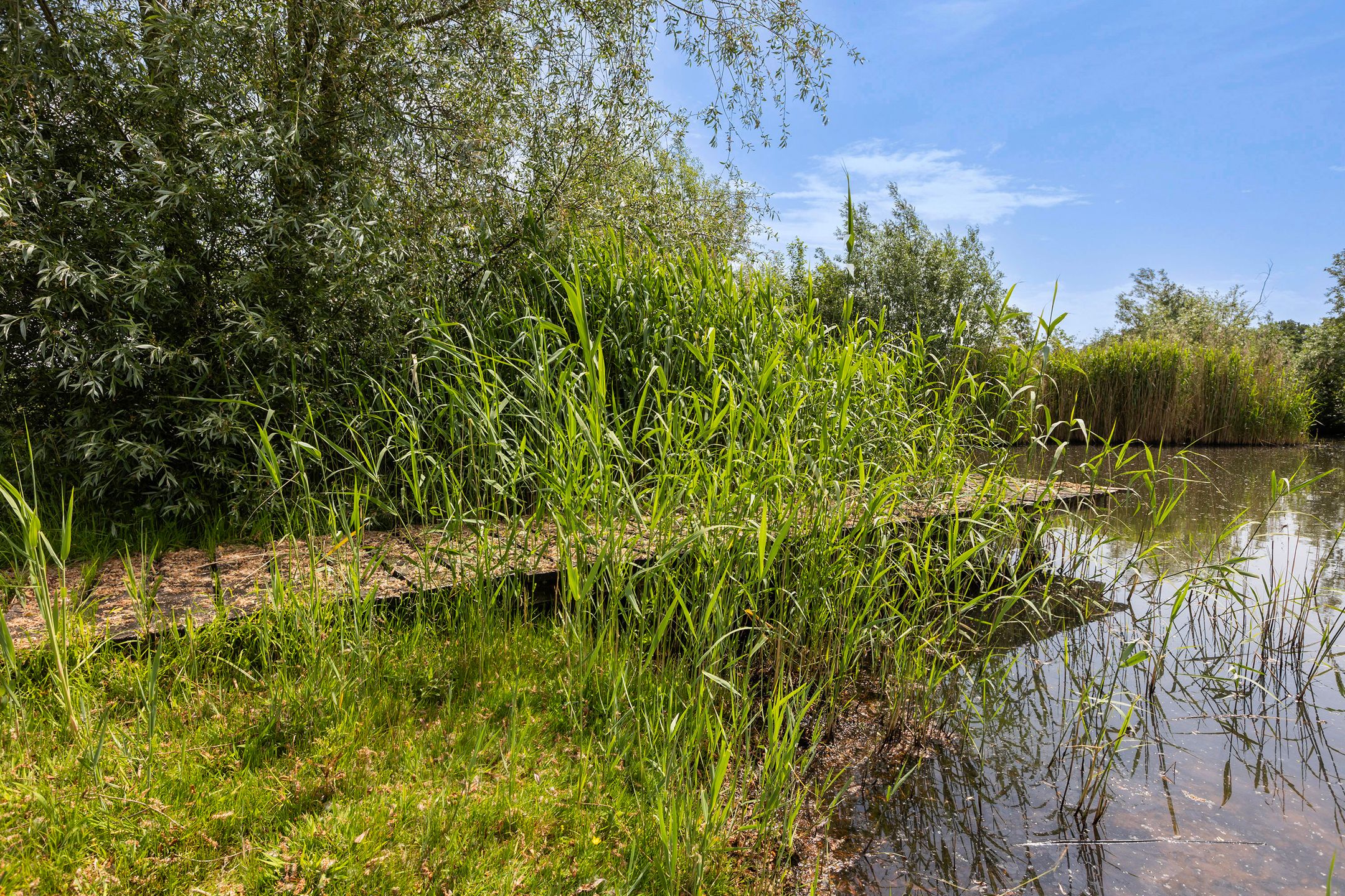 Photo 87 of Wezelseveldweg 1