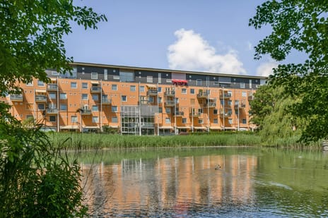 Louis Davidsstraat thumbnail
