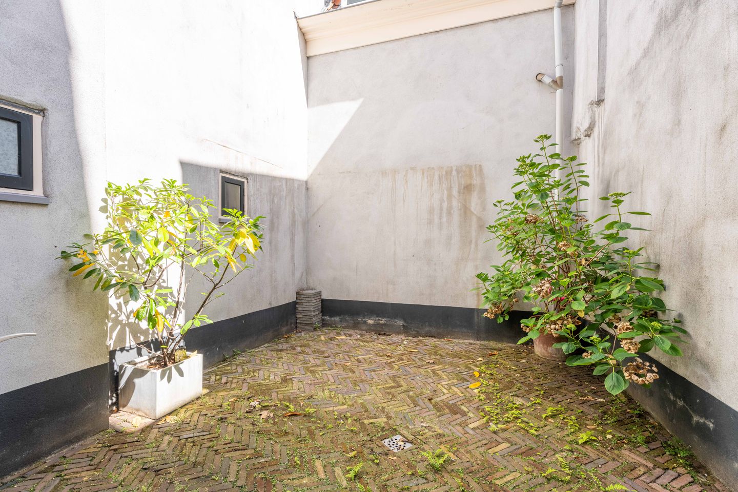 Bright Ground‑Floor Apartment with Private Garden Near Leiden Centre — 19