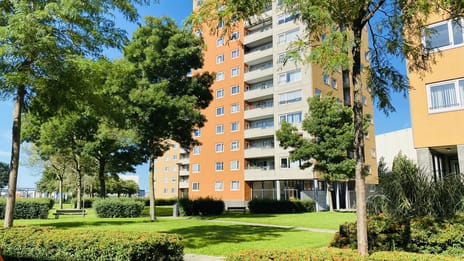 Speedwellstraat thumbnail