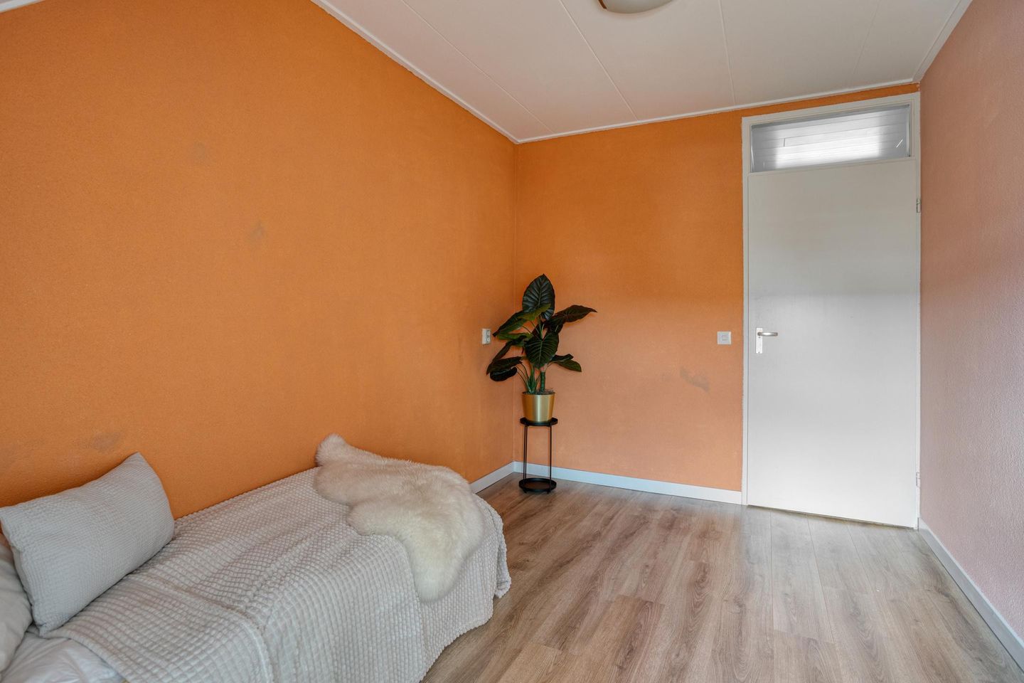 Photo 29 of 't Dorp 84