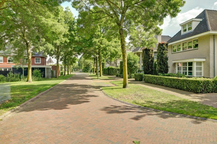 Foto 3 van Lieverman 3