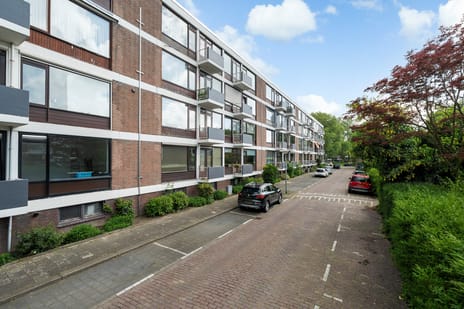 van der Werffstraat thumbnail