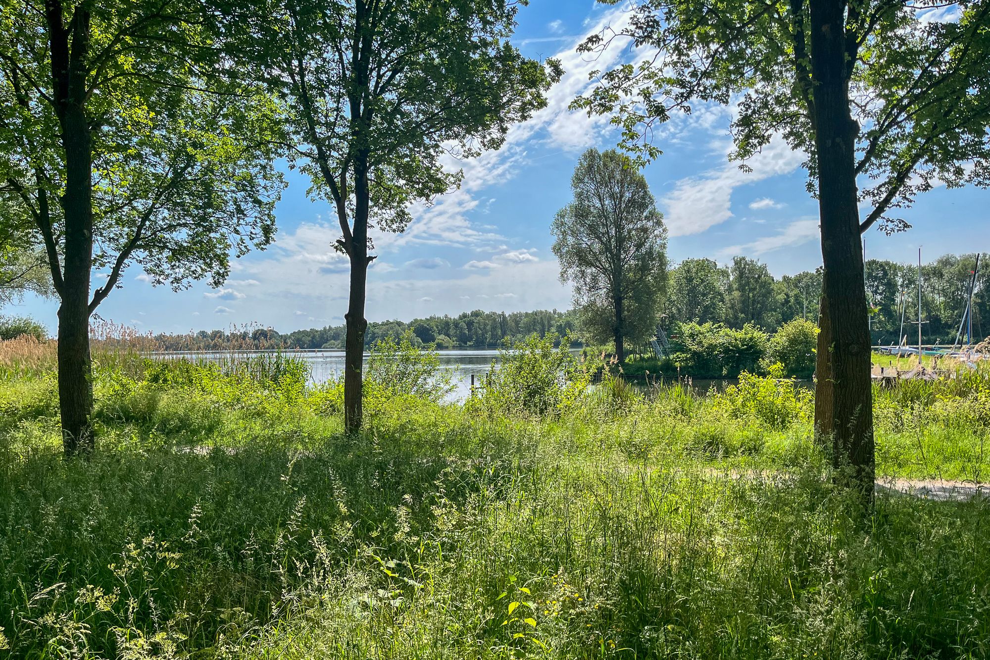 Spacious Corner Apartment with Park and Water Views Near Gaasperplas — 42