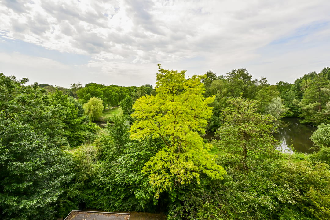 Spacious Corner Apartment with Park and Water Views Near Gaasperplas — 11