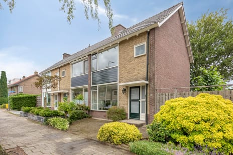 Van Boetzelaerstraat thumbnail