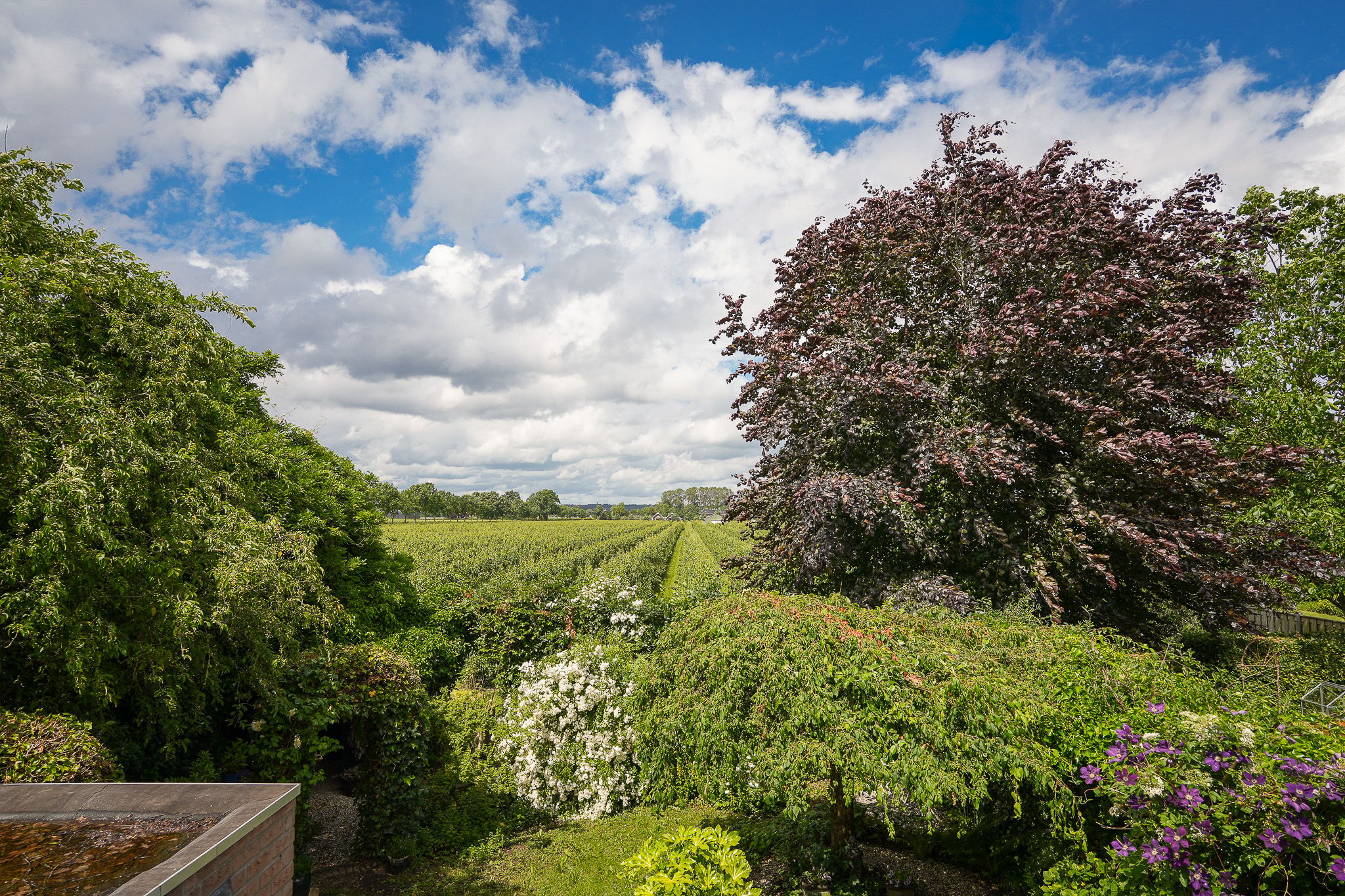 Extended Semi-Detached Home with Panoramic Orchard Views in the Betuwe — 27