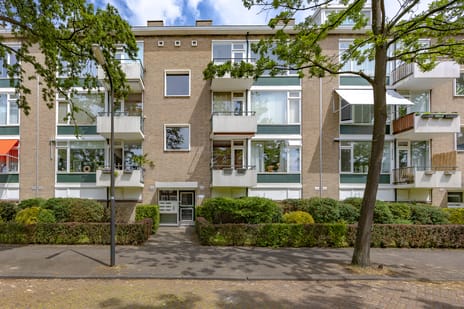 Dr Augustijnlaan thumbnail