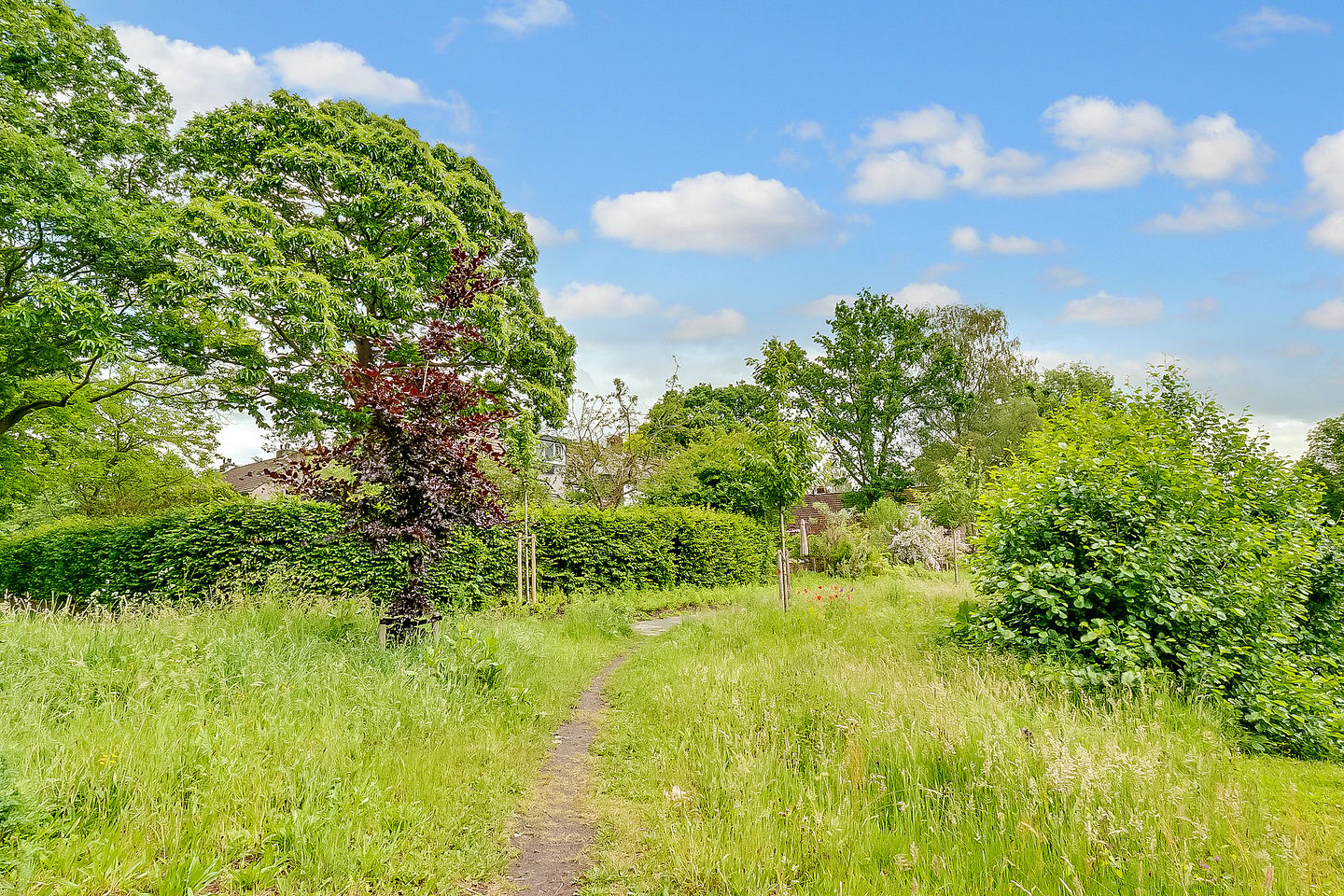Family Terraced Home with Panoramic Meadow Views — 50