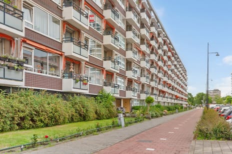 Steenvoordelaan thumbnail
