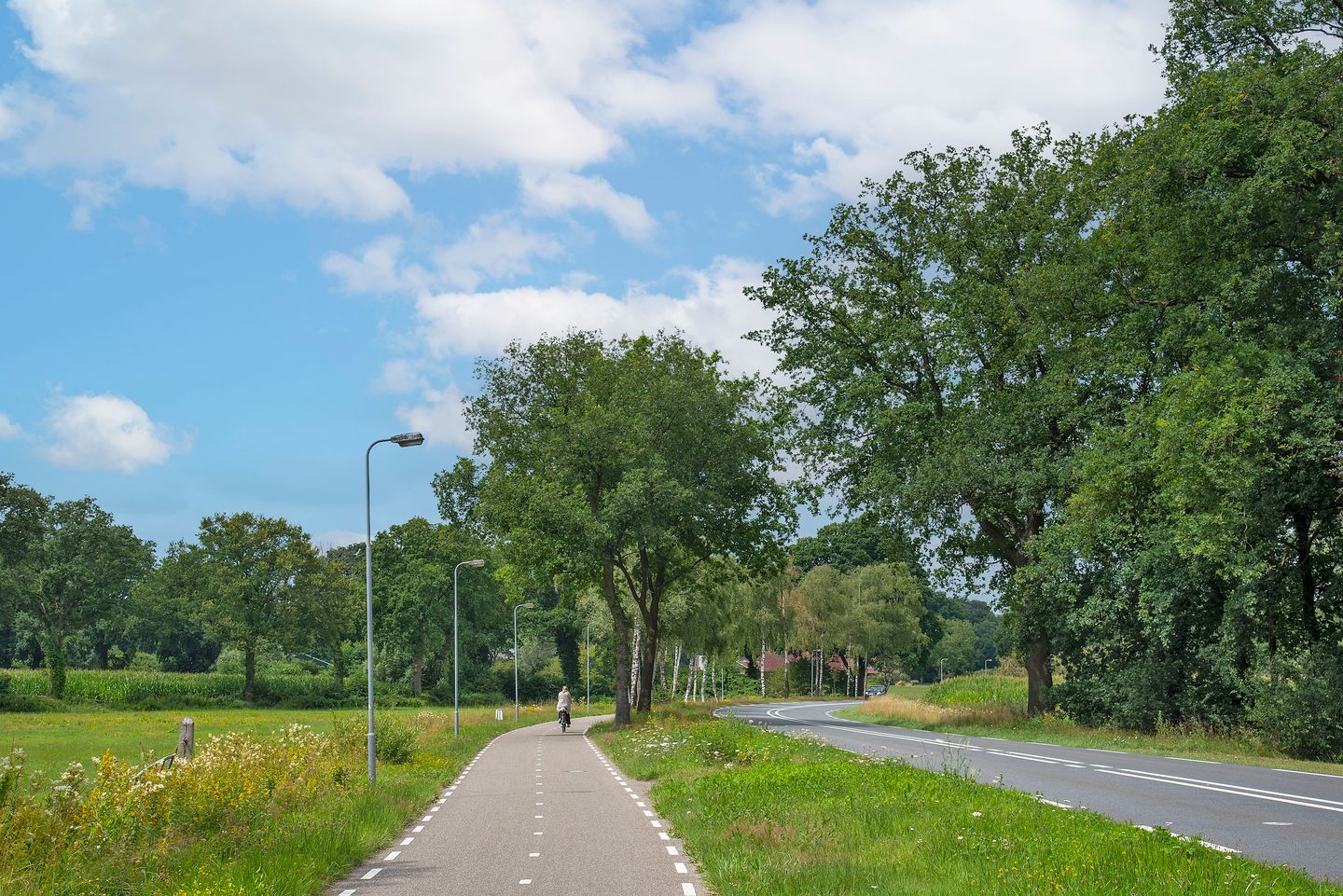 Photo 59 of Oldenzaalsestraat 118