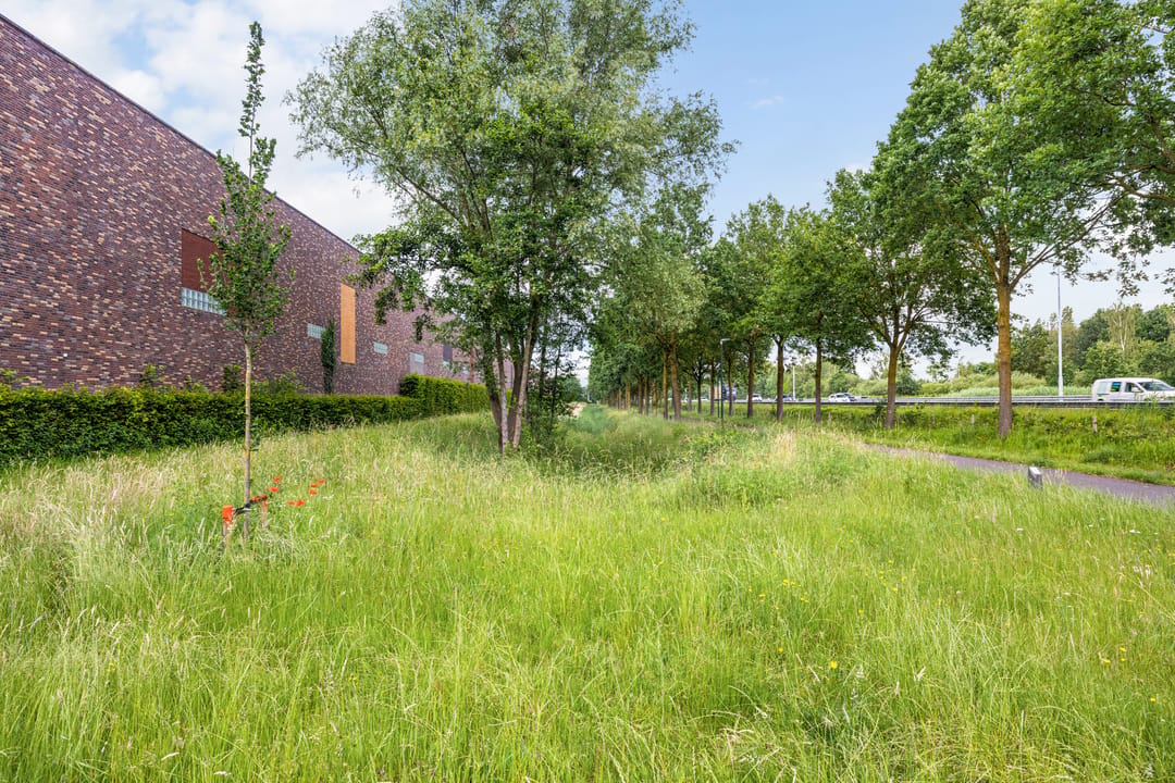 Spacious Sustainable Family Home with Four Bedrooms in Boxtel — 61