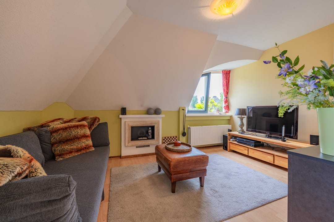 Unique Detached Villa with Tent Roof in Quiet Passewaaij Location — 62