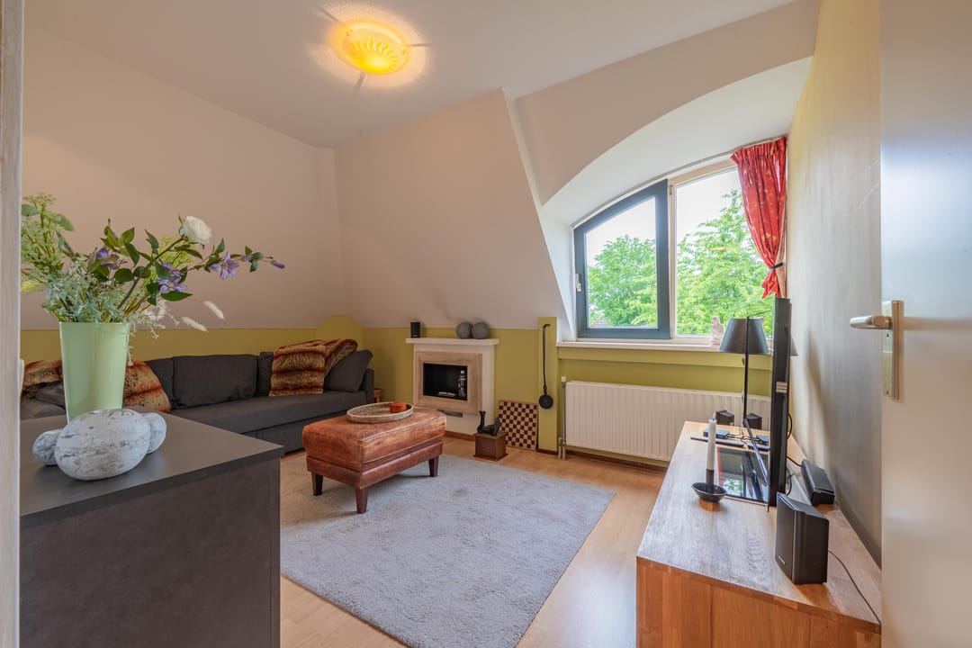 Unique Detached Villa with Tent Roof in Quiet Passewaaij Location — 58