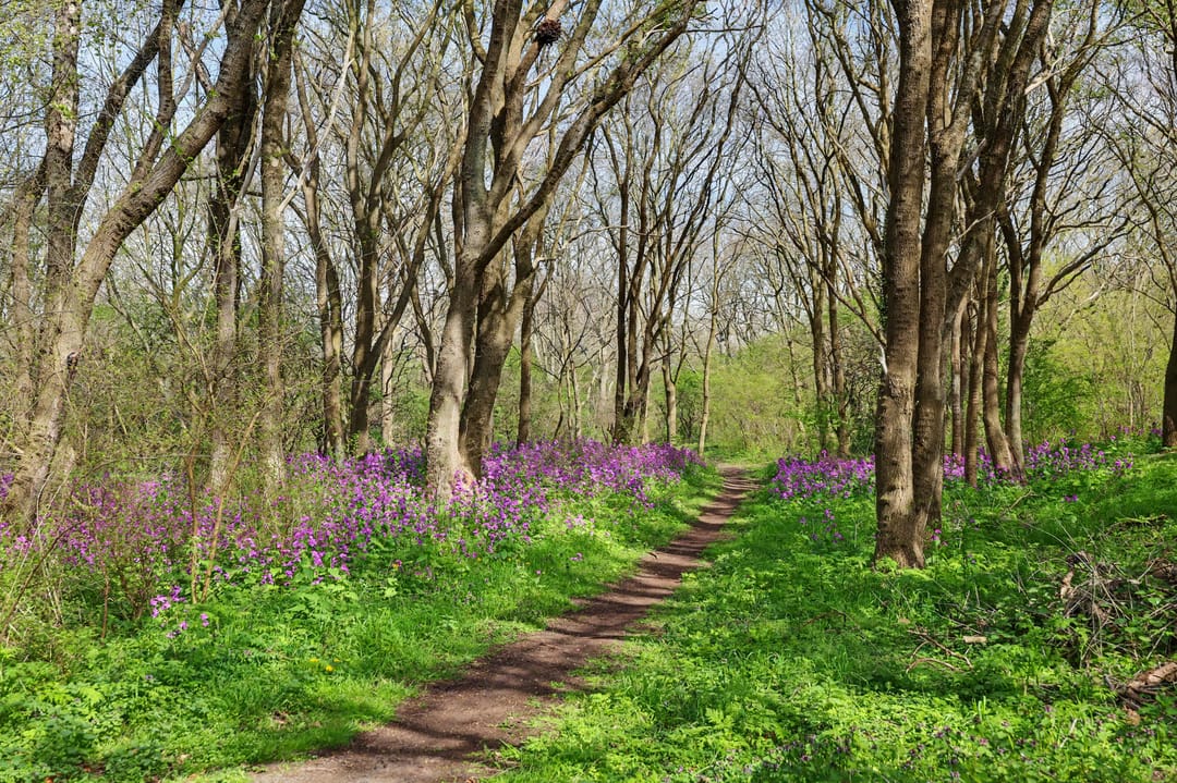 Foto 13 van Gorsplein 2-34