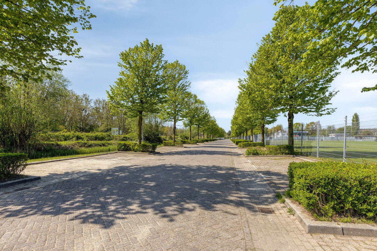 View photo 4 of Halmaheiraplein 26