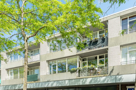 William Harveystraat thumbnail