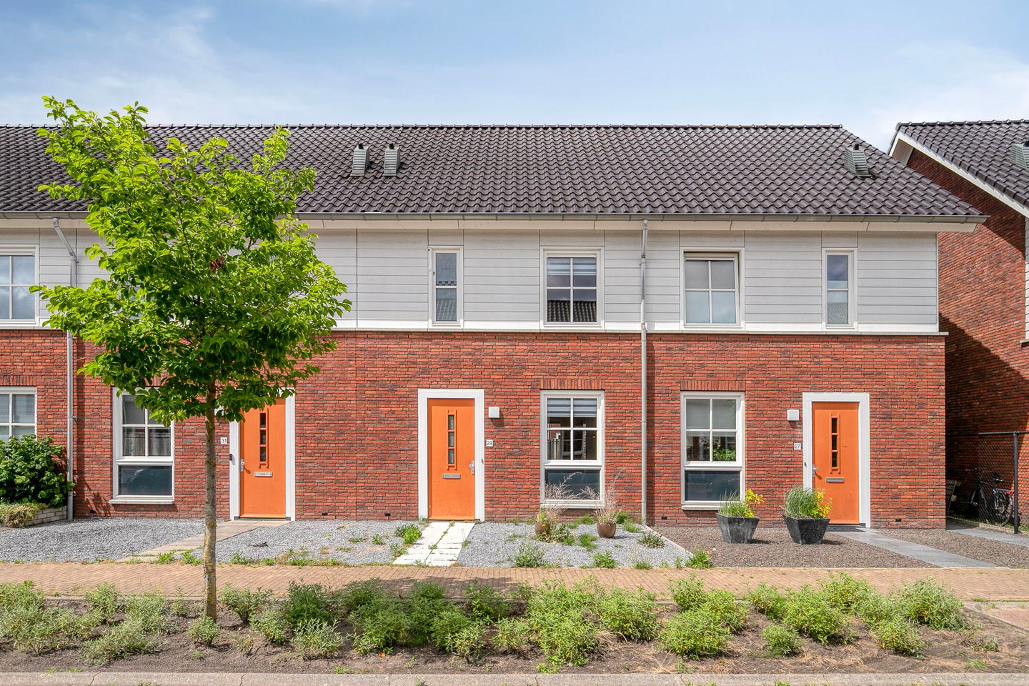 Foto 1 van Knelisroos 29