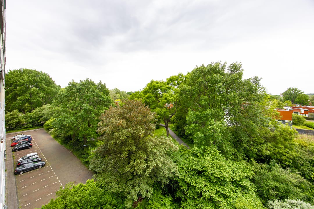 Photo 11 of Engelandlaan 450