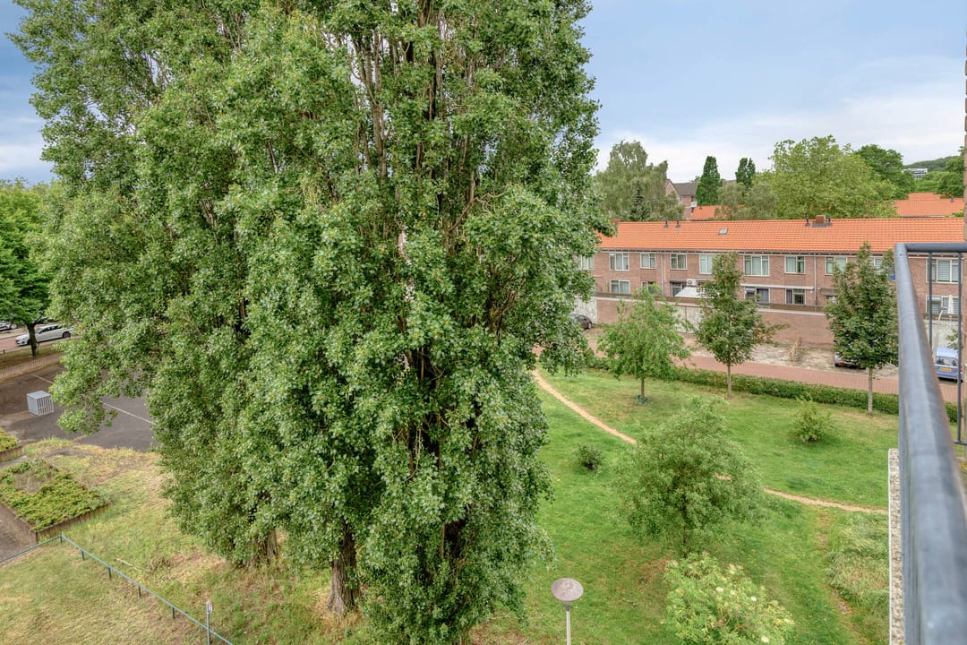 Photo 11 of Koningsmantelhof 21