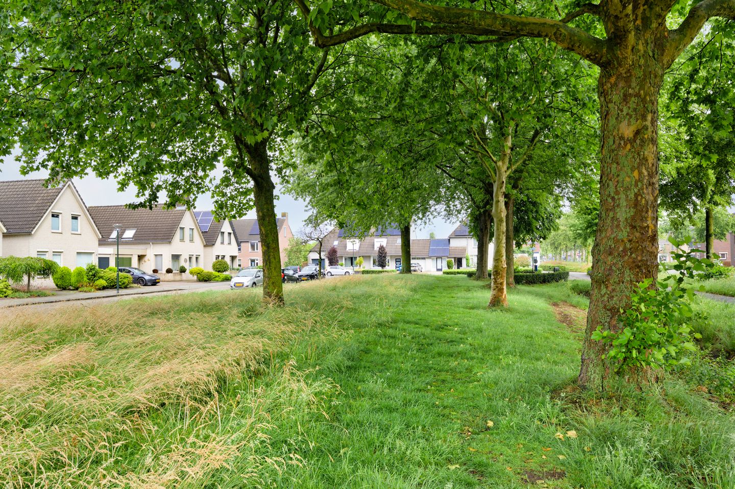 Foto 44 van Schubertstraat 8