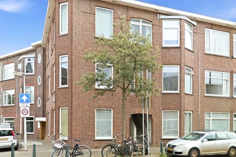 Kamperfoeliestraat thumbnail