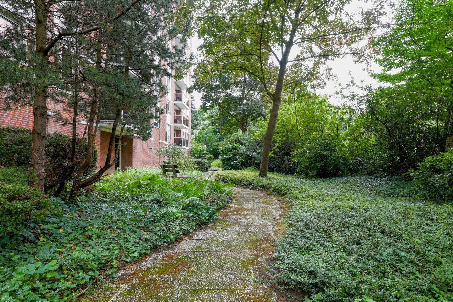 Photo 25 of Mariabad 119