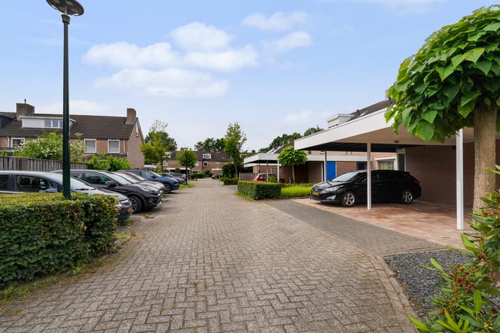 Foto 5 van De Blauwverver 6