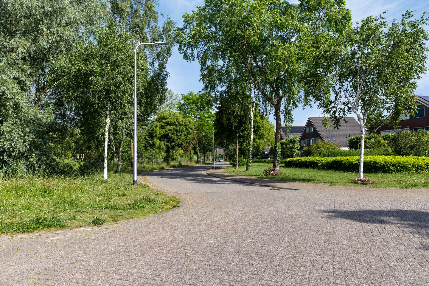 Photo 59 of Megenstraat 48