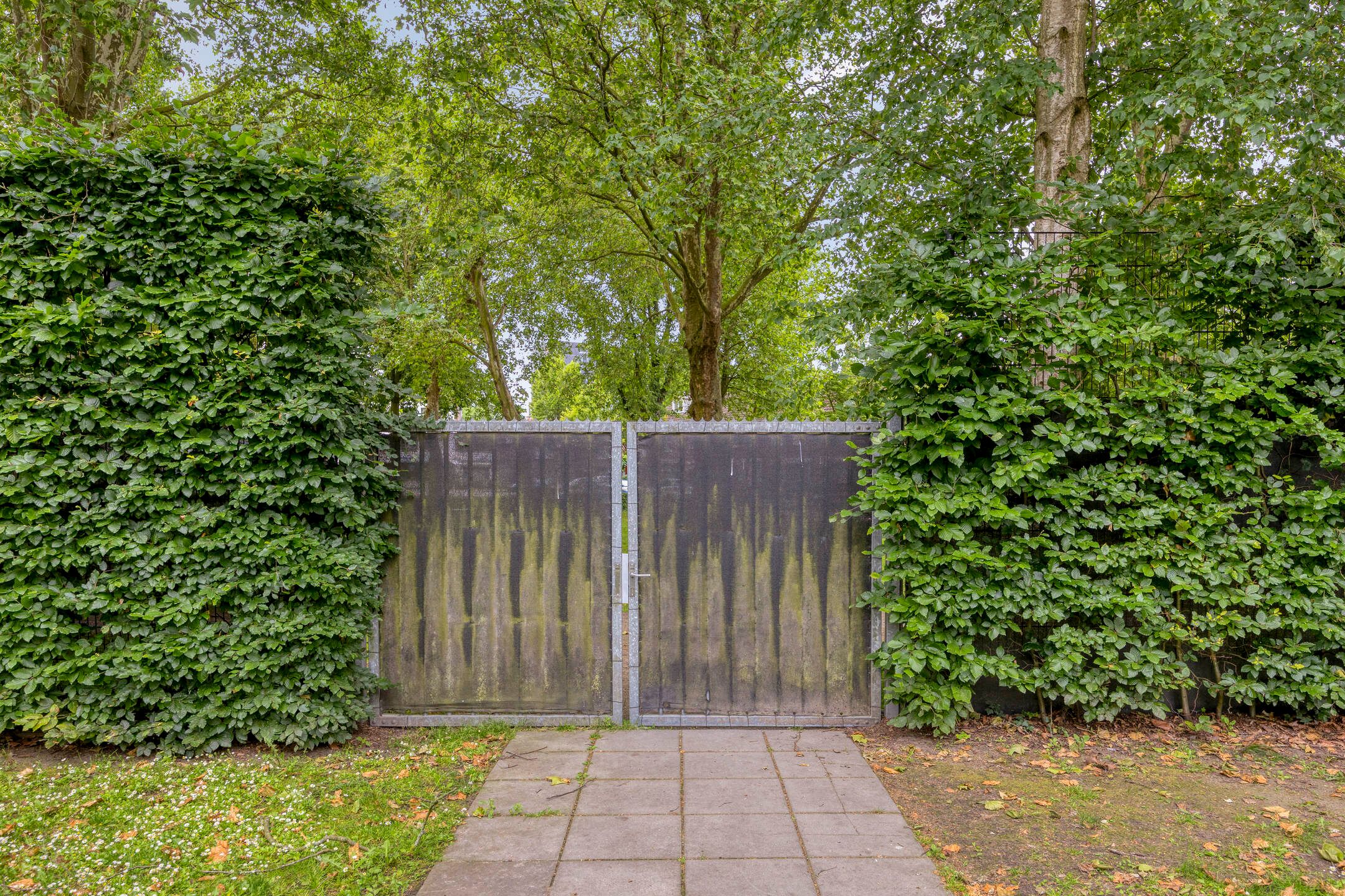 Photo 27 of Planciusplein 20