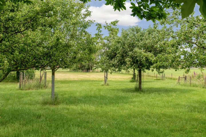 Foto 5 van Oude Zutphenseweg 10
