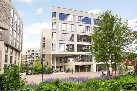 Rookmelderstraat thumbnail