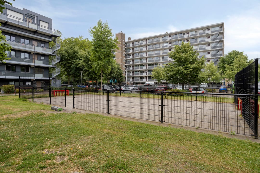 Photo 43 of Albert van Raalteplein 61