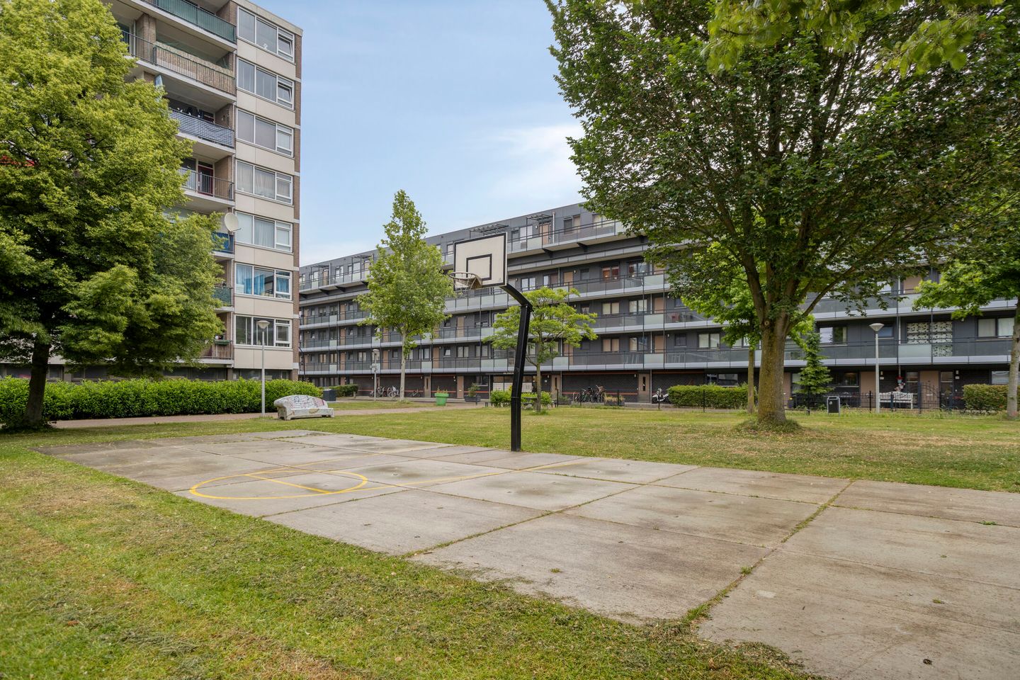 Photo 44 of Albert van Raalteplein 61