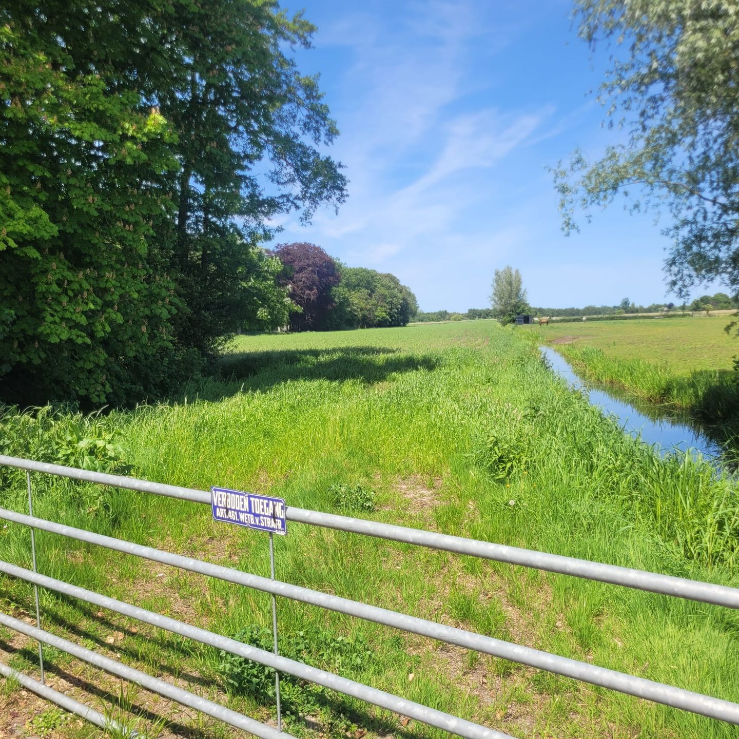 Bekijk foto 5 van Nieuw-Loosdrechtsedijk