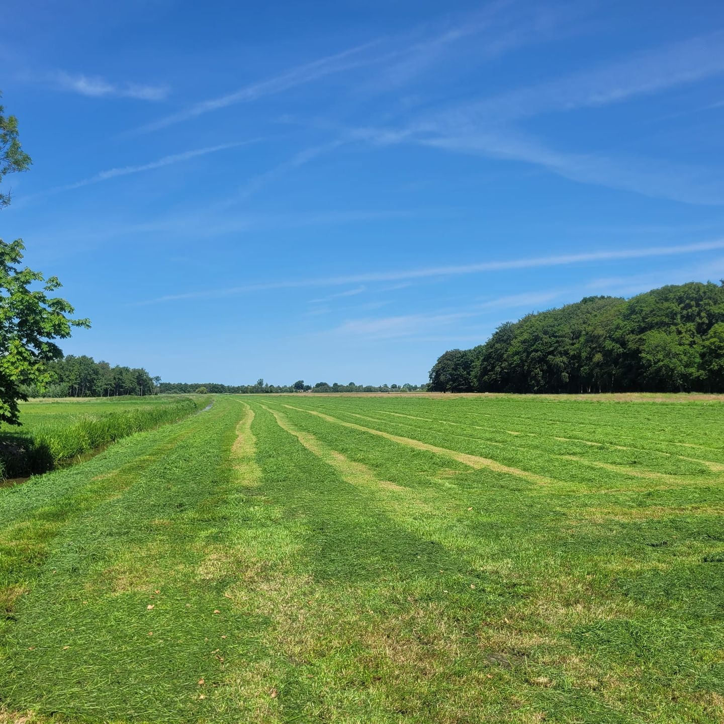 Bekijk foto 1 van Nieuw-Loosdrechtsedijk