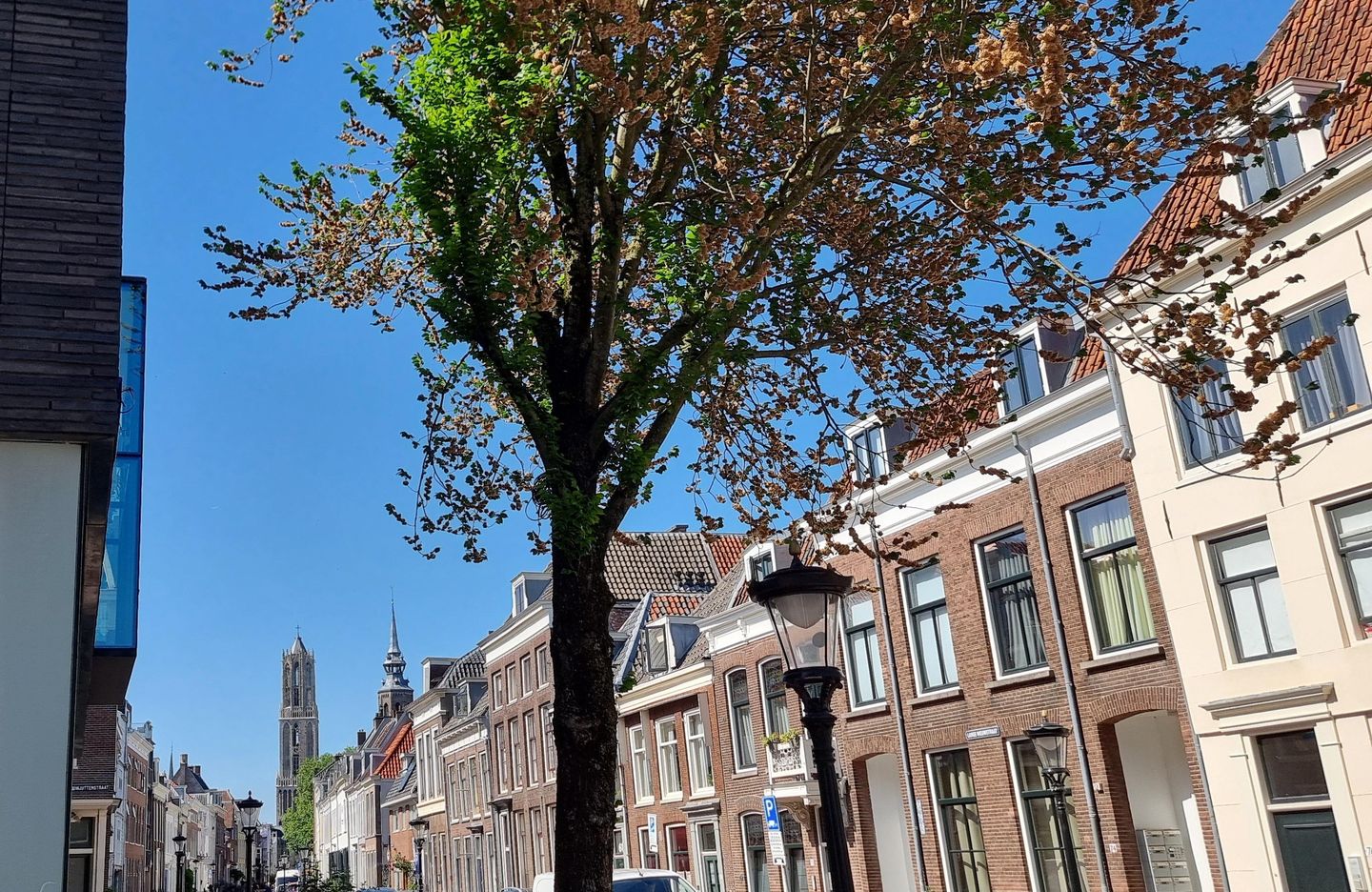 Photo 40 of Lange Nieuwstraat 113-A