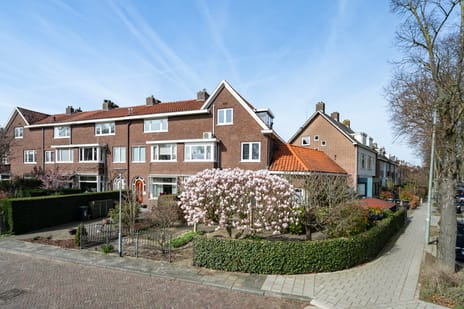 Halmaheiraplein thumbnail