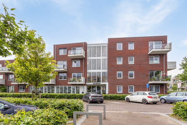 Foto 5 van Gouwzee 100