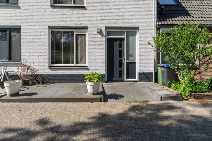Foto 4 van Zeearend 86
