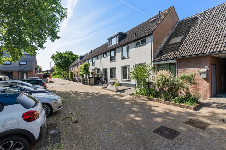 Foto 3 van Zeearend 86