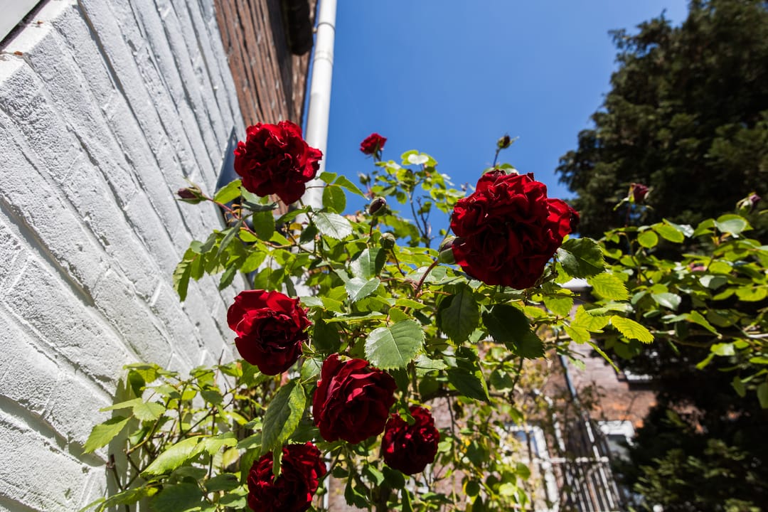Photo 28 of Van der Mondestraat 165