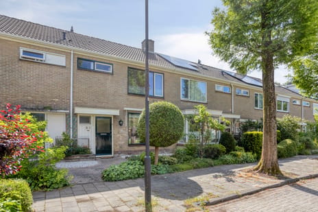Jan van Goyenstraat thumbnail