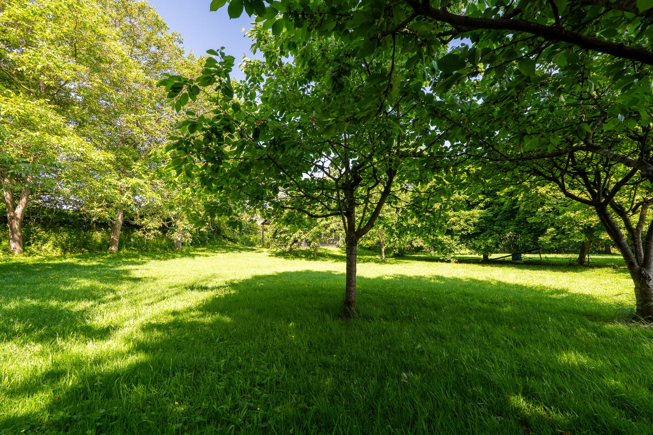 Photo 51 of Meeuwensedijk 5