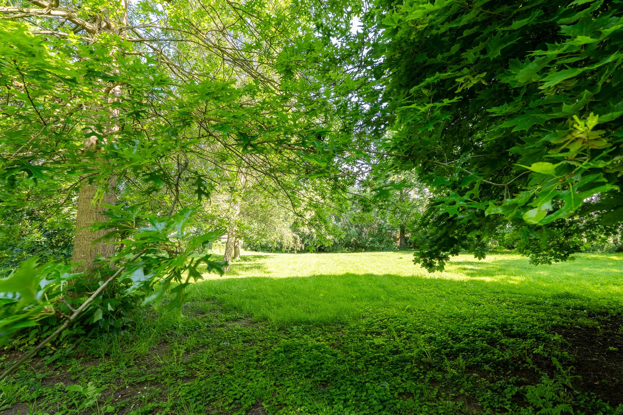Photo 54 of Meeuwensedijk 5