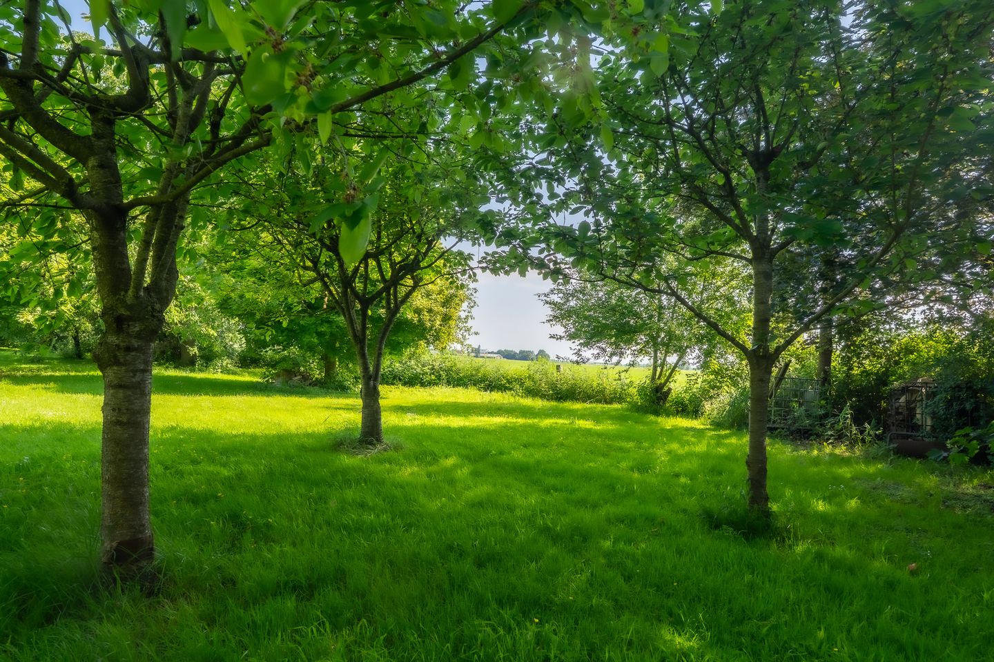 Photo 59 of Meeuwensedijk 5