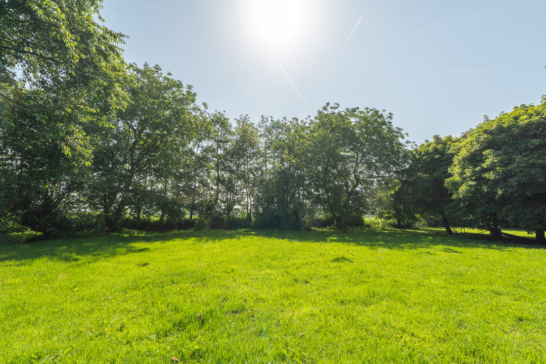 Photo 53 of Meeuwensedijk 5