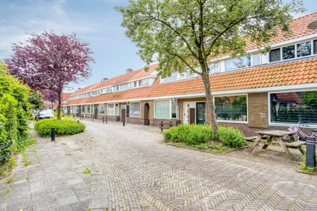 Papaverstraat thumbnail