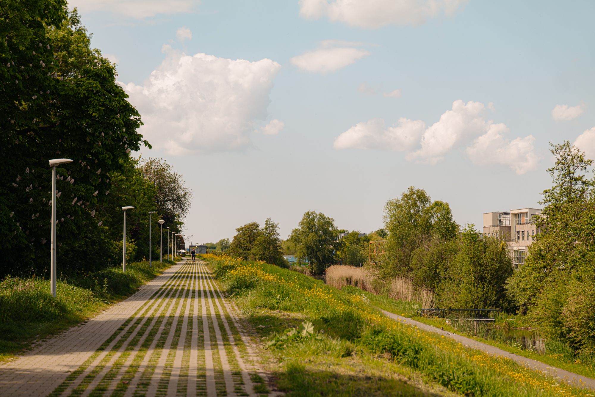Photo 63 of Zuiderakerweg 32